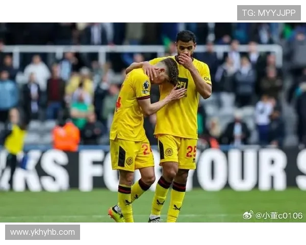 谢菲联降级教训